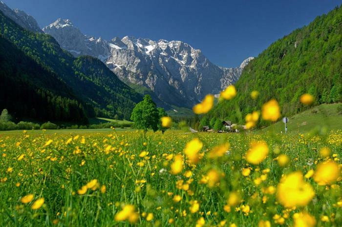 Entire Loft Close To Beautiful Logar Valley Recica ob Savinji Екстериор снимка