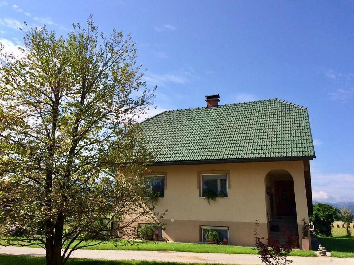 Entire Loft Close To Beautiful Logar Valley Recica ob Savinji Екстериор снимка