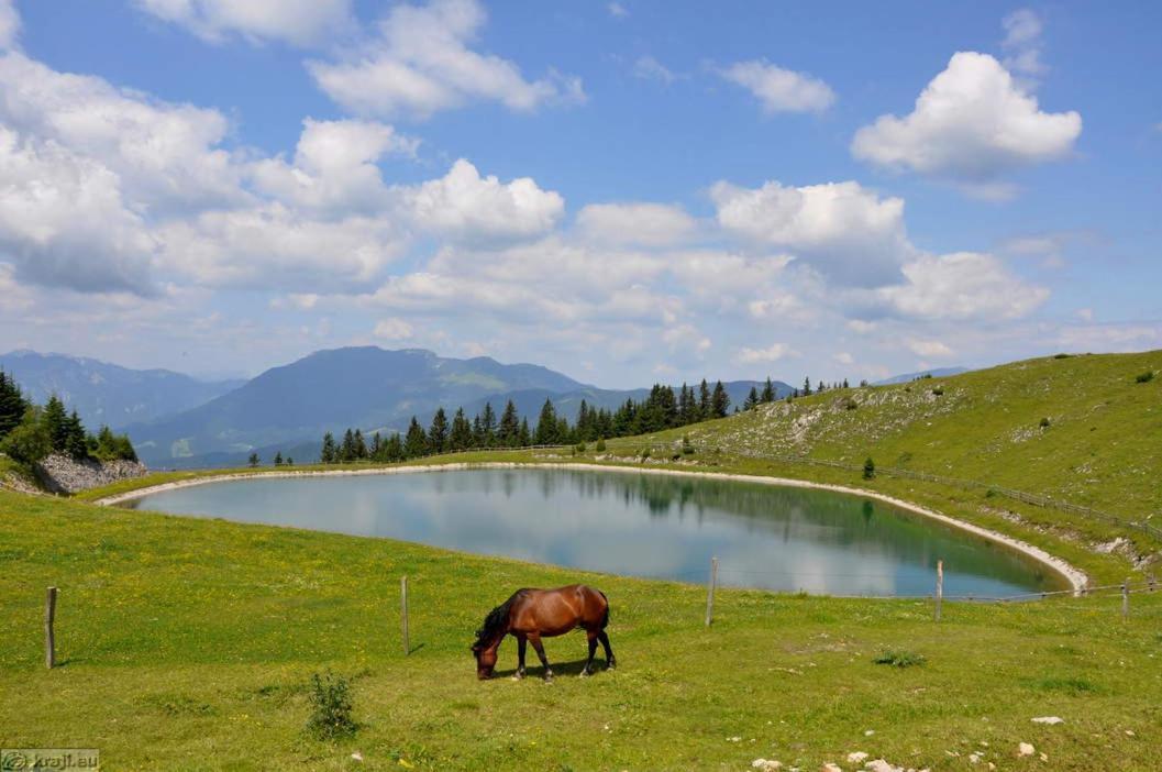 Entire Loft Close To Beautiful Logar Valley Recica ob Savinji Екстериор снимка